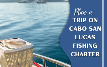 Cabo San Lucas fishing charter