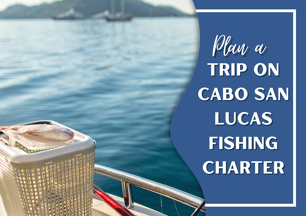 Cabo San Lucas fishing charter